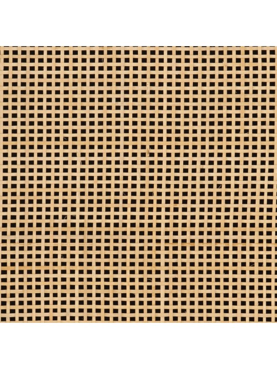 Tv skapītis, 110x30x40 cm, mango masīvkoks un dzelzs