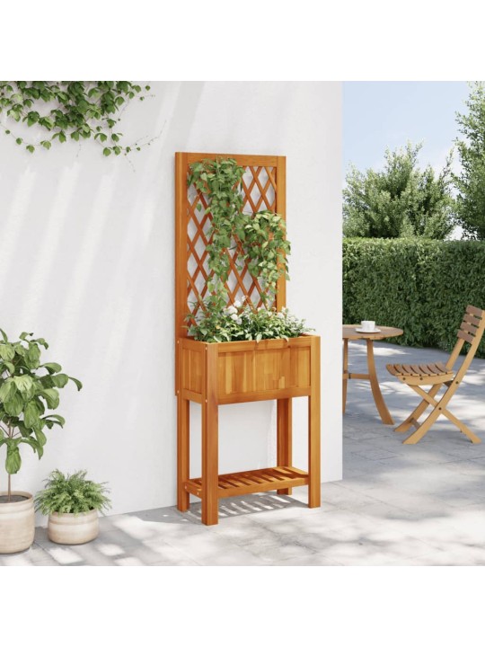 Dārza puķu kaste ar špaleru un plaukts 55x29,5x152 cm akācija