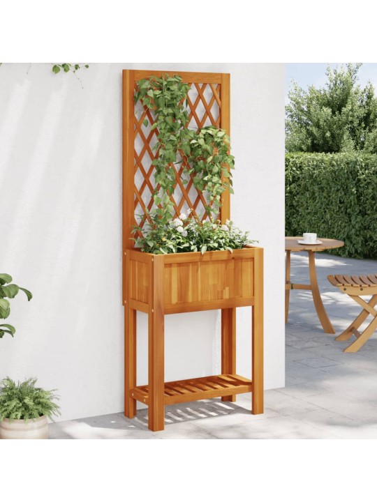 Dārza puķu kaste ar špaleru un plaukts 55x29,5x152 cm akācija