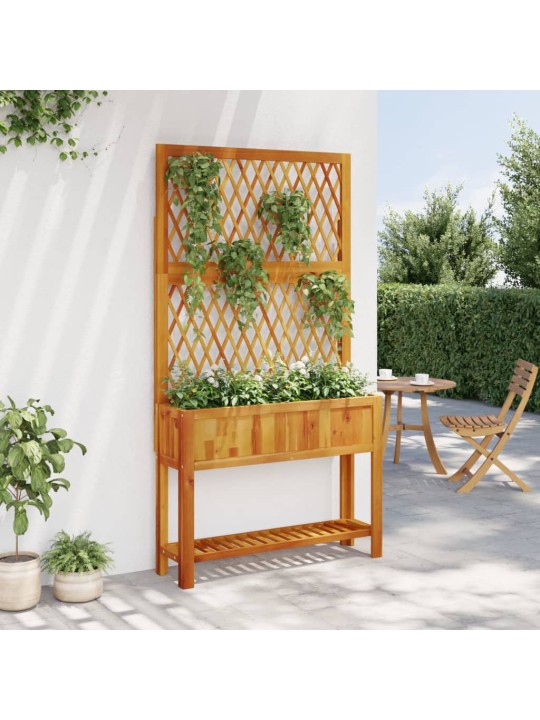 Dārza puķu kaste ar špaleru un plaukts 100x32x185 cm akācija