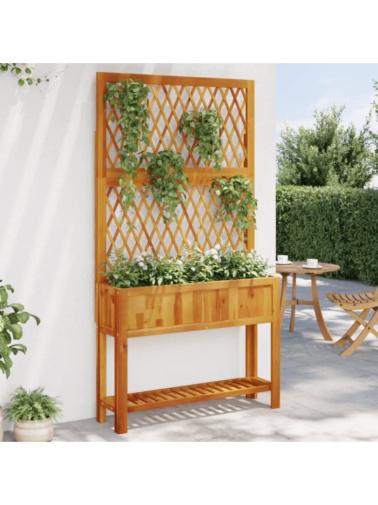 Dārza puķu kaste ar špaleru un plaukts 100x32x185 cm akācija
