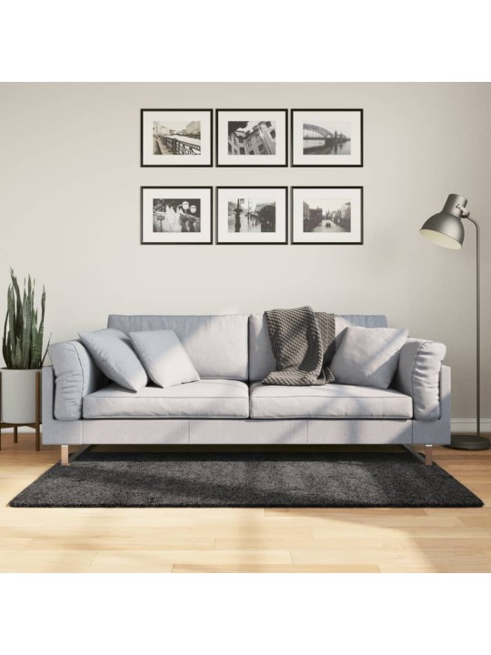 Paklājs pamplona, 120x170 cm, shaggy, moderns, antracītpelēks
