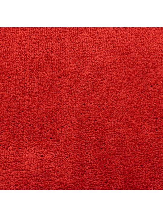 Paklājs OVIEDO, īsa spalva, sarkans, 240x240 cm