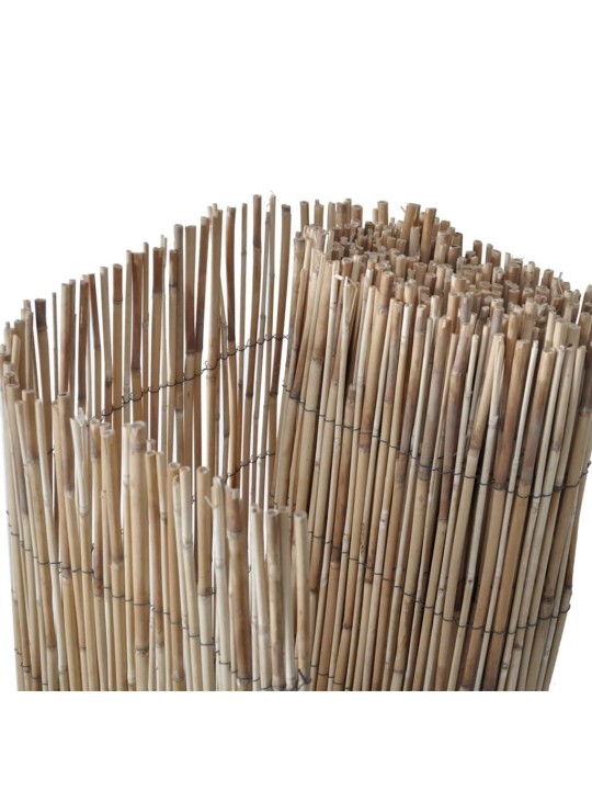 Dārza žogs, 600x100 cm, niedres