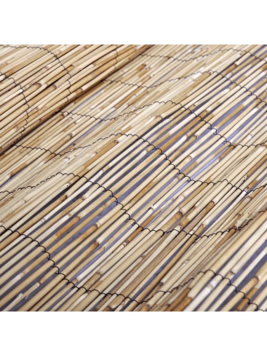 Dārza žogs, 600x100 cm, niedres