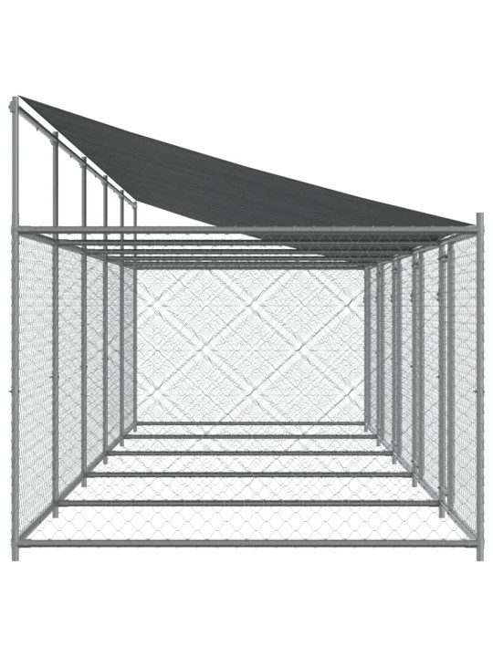 Suņu būris ar jumtu un durvīm, pelēks, 10x2x2m, cinkots tērauds