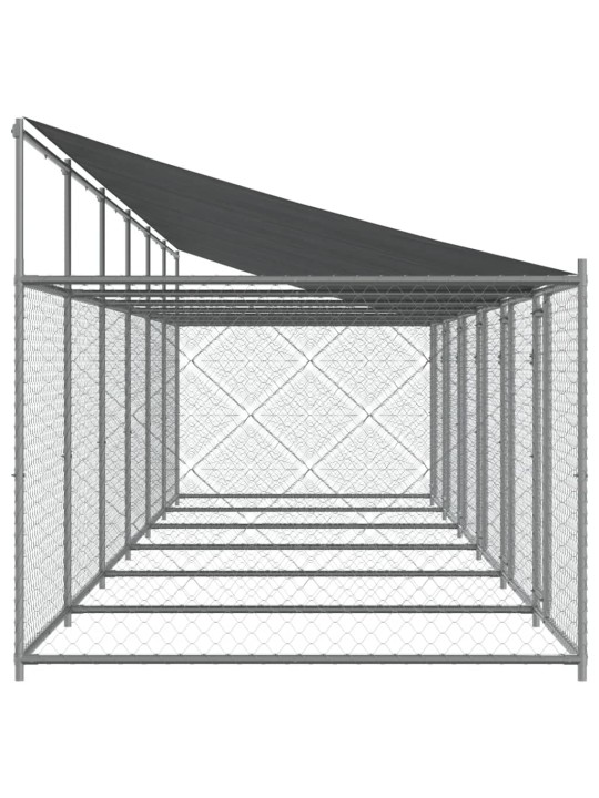 Suņu būris ar jumtu un durvīm, pelēks, 12x2x2m, cinkots tērauds