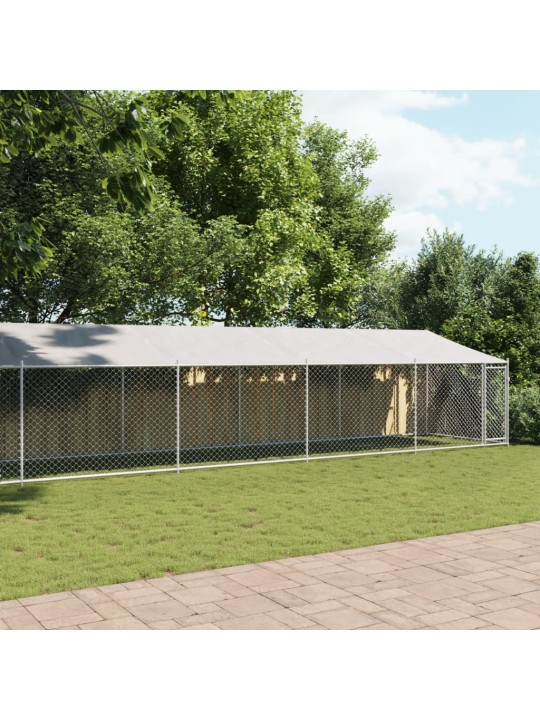 Suņu būris ar jumtu un durvīm, pelēks, 10x2x2m, cinkots tērauds