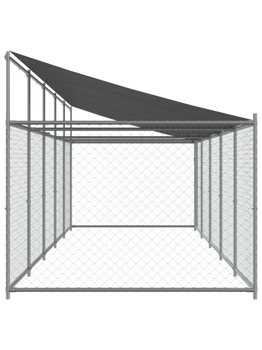 Suņu būris ar jumtu un durvīm, pelēks, 10x2x2m, cinkots tērauds