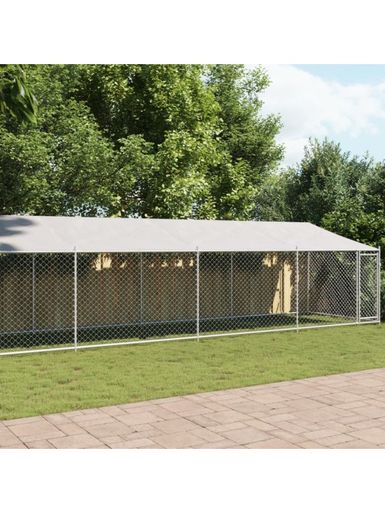 Suņu būris ar jumtu un durvīm, pelēks, 10x2x2m, cinkots tērauds