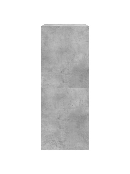 Apavu skapītis ar 2 atvilktnēm, betona pelēks, 60x42x108 cm