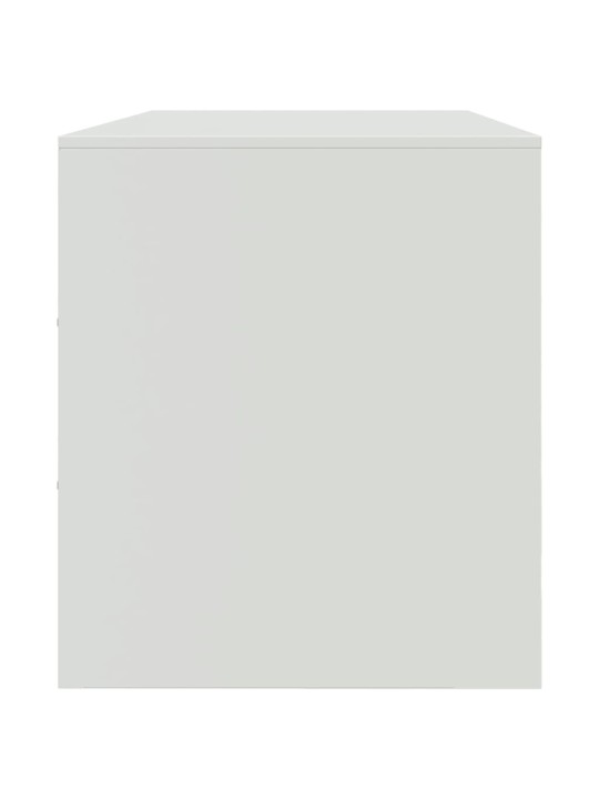 Tv skapītis, 99x39x44 cm, tērauds, balts
