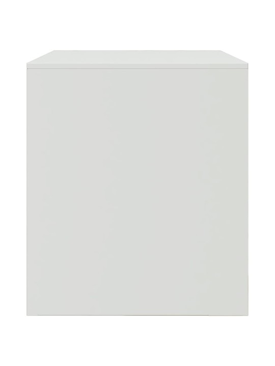 Tv skapītis, 67x39x44 cm, tērauds, balts