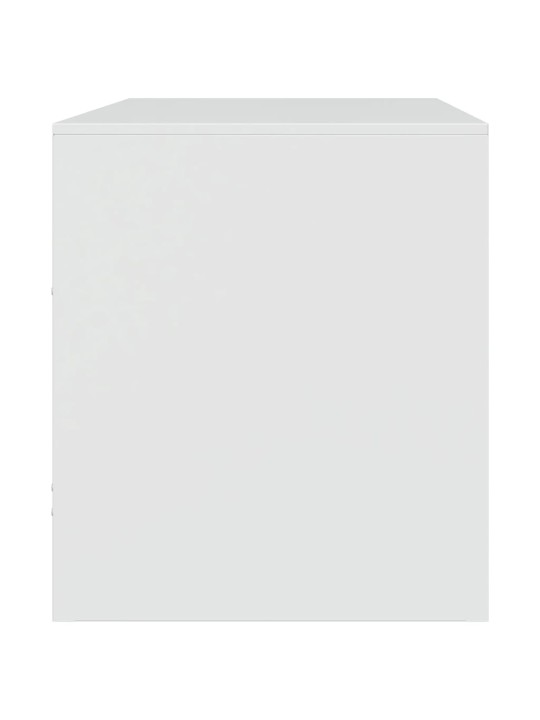 Tv skapītis, 67x39x44 cm, tērauds, balts