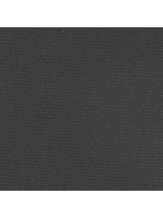 Izvelkama sānu markīze, melna, 100x300 cm