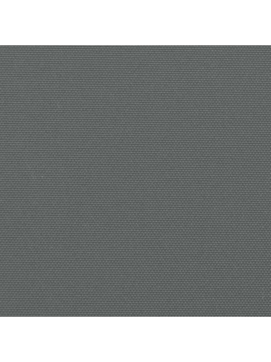 Izvelkama sānu markīze, antracītpelēka, 117x300 cm