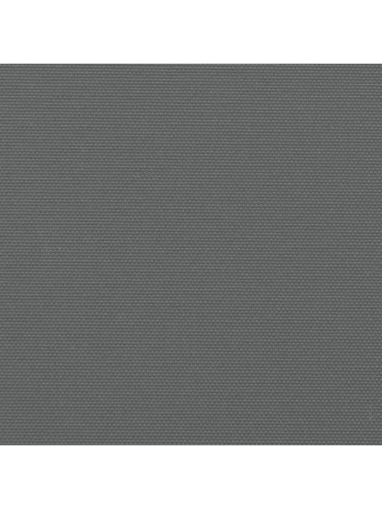 Izvelkama sānu markīze, antracītpelēka, 140x300 cm
