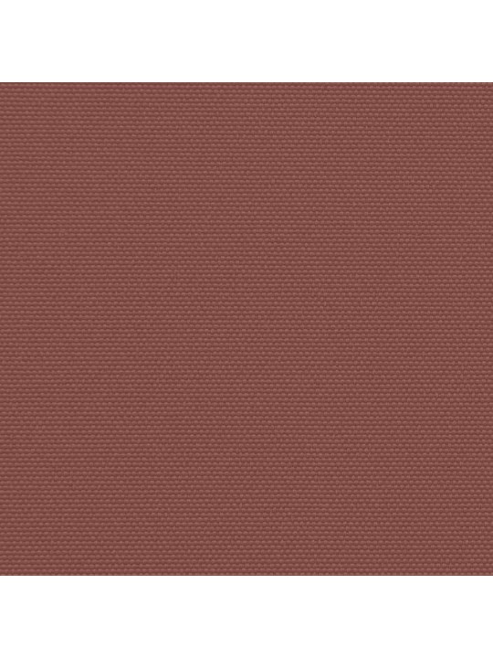 Izvelkama sānu markīze, brūna, 160x300 cm