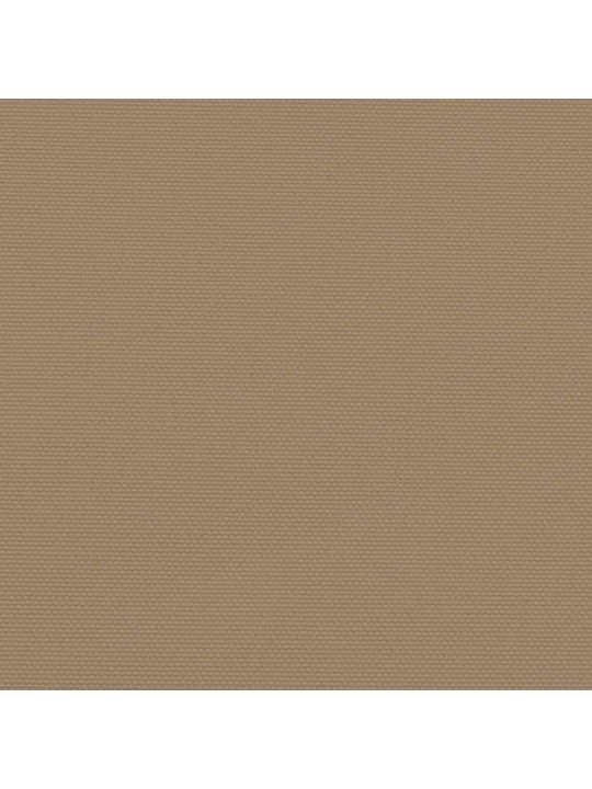 Izvelkama sānu markīze, pelēkbrūna, 160x300 cm