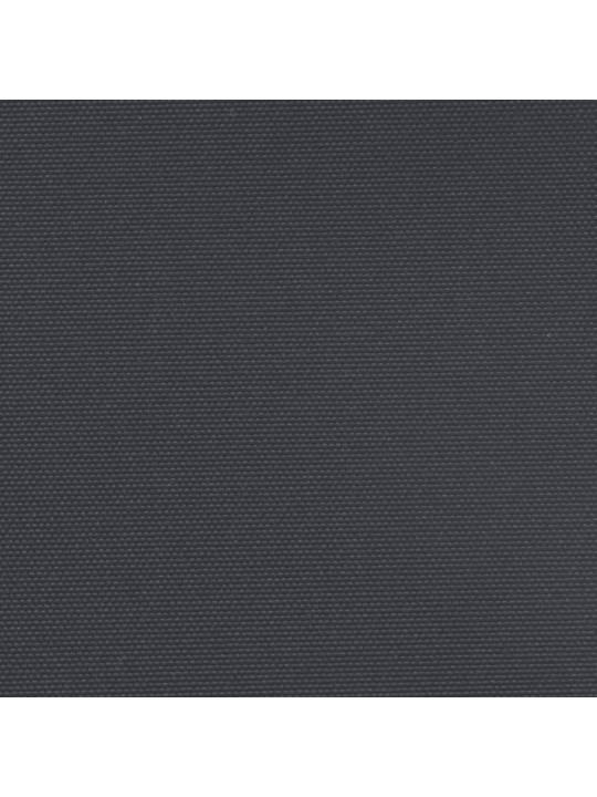 Izvelkama sānu markīze, melna, 200x300 cm