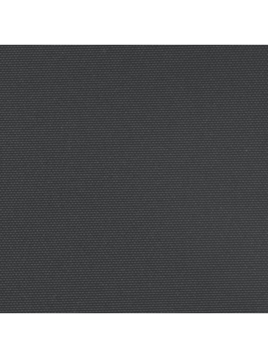 Izvelkama sānu markīze, melna, 100x500 cm