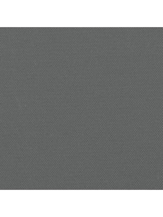 Izvelkama sānu markīze, antracītpelēka, 140x500 cm