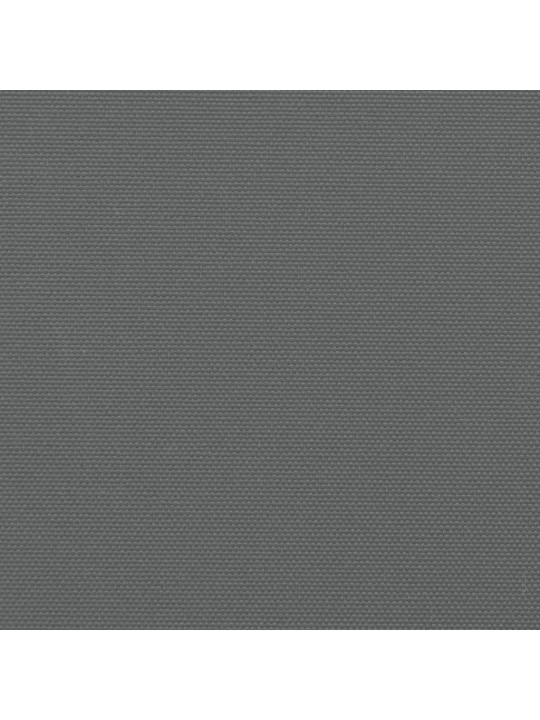 Izvelkama sānu markīze, antracītpelēks, 200x500 cm