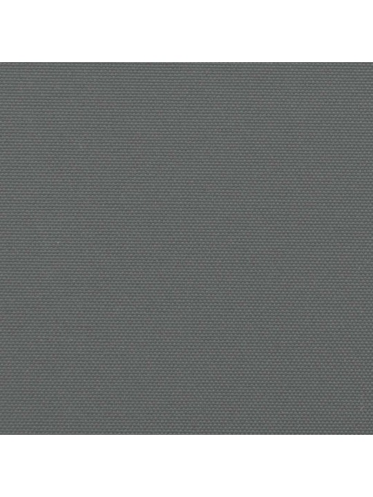 Izvelkama sānu markīze, antracītpelēka, 200x600 cm