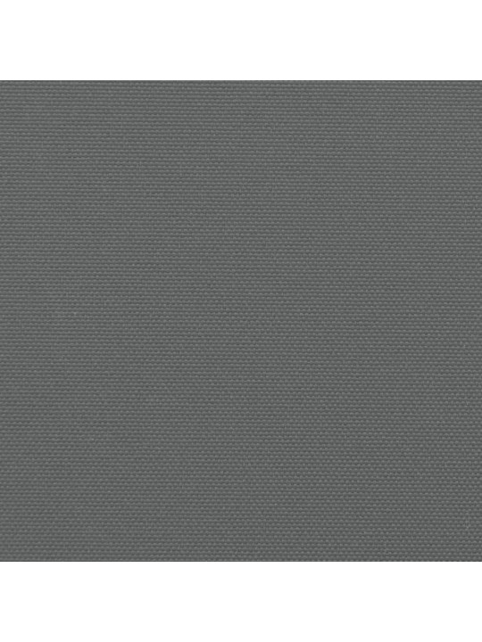 Izvelkama sānu markīze, antracītpelēka, 160x1000 cm