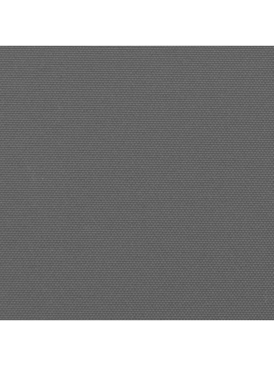 Izvelkama sānu markīze, antracītpelēka, 200x1000 cm