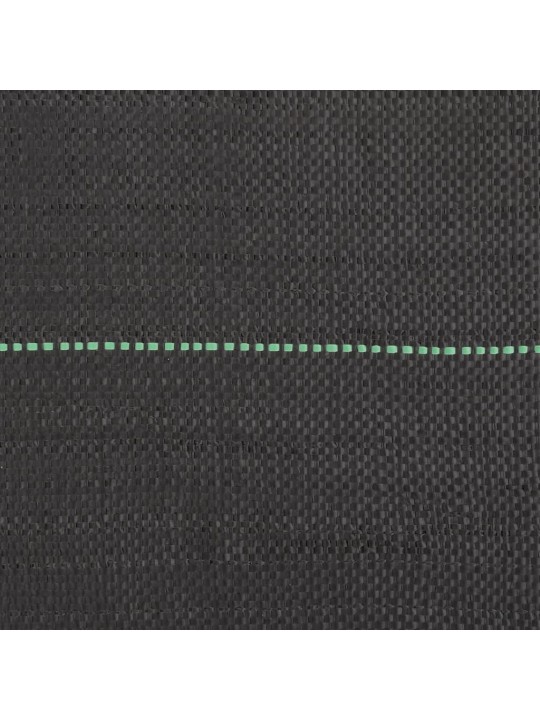 Augsnes pārsegs, melns, 2x100 m, pp