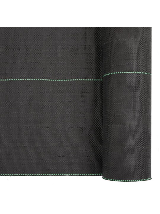 Augsnes pārsegs, melns, 2x100 m, pp