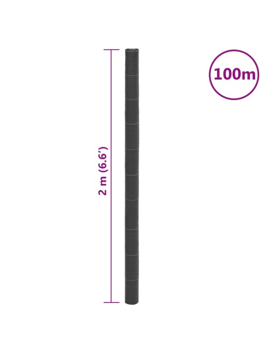 Augsnes pārsegs, melns, 2x100 m, pp