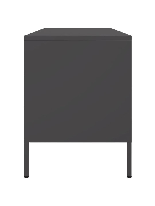 Tv skapītis, 100,5x39x50,5 cm, tērauds, melns
