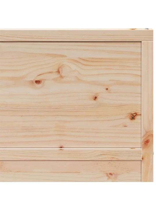 Šķūņa durvis, 100x208 cm, priedes masīvkoks