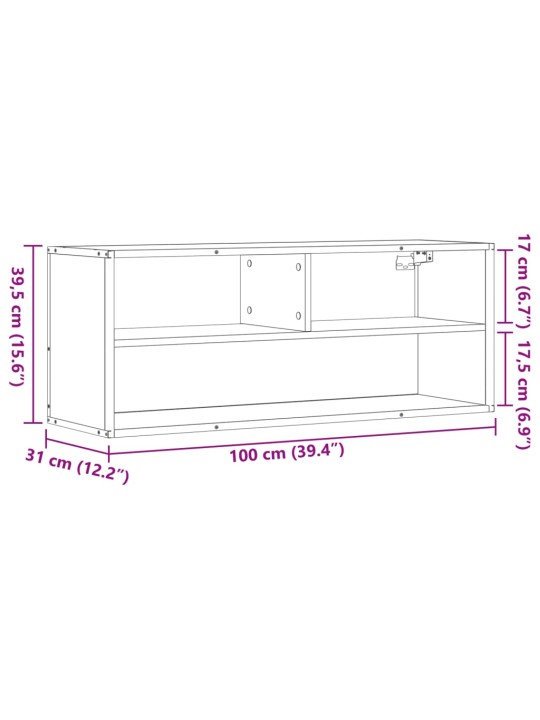 Tv skapītis, pelēks, 100x31x39,5 cm, inženierijas koks, metāls