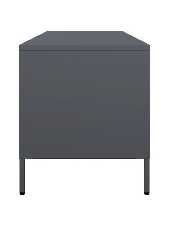 Tv skapītis, pelēks, 135x39x43,5 cm, auksti velmēts tērauds