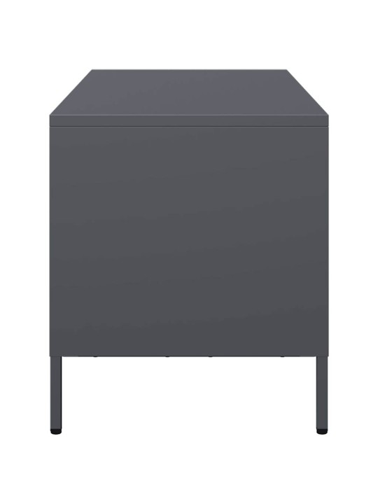Tv skapītis, pelēks, 101,5x39x43,5 cm, auksti velmēts tērauds