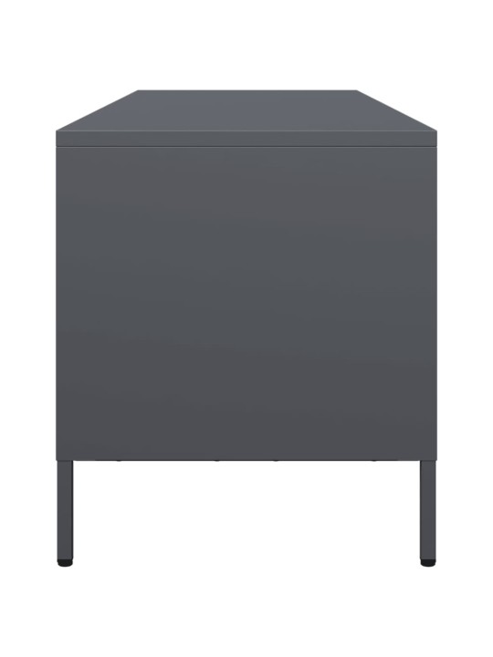 Tv skapītis, pelēks, 135x39x43,5 cm, auksti velmēts tērauds