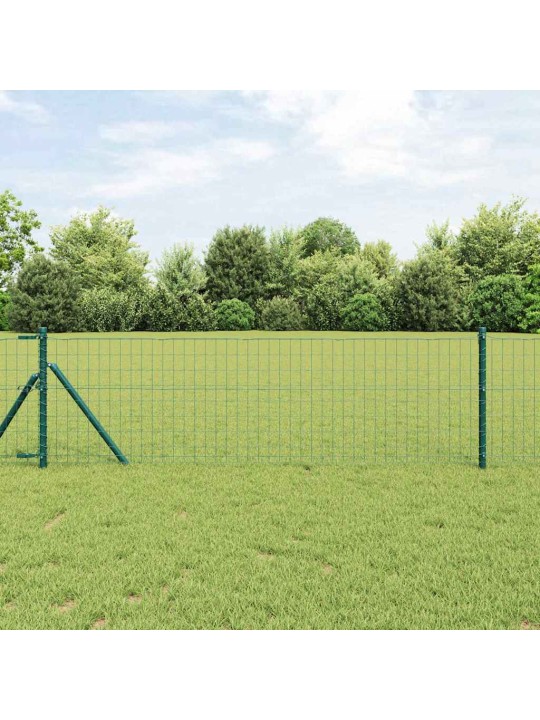 Žogs ar stabiem. zaļa 0.8 x 25 m tērauds