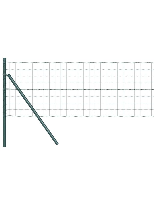 Žogs ar stabiem. zaļa 0.8 x 25 m tērauds