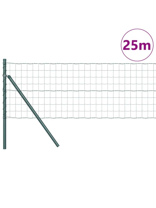 Žogs ar stabiem. zaļa 0.8 x 25 m tērauds