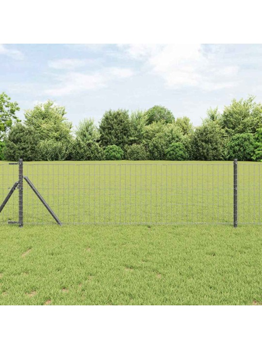 Žogs ar stabiem. pelēka 0.4 x 10 m tērauds