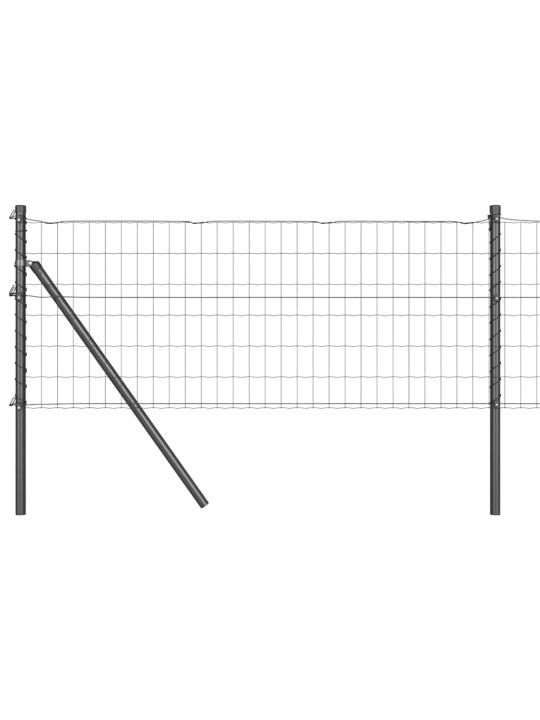 Žogs ar stabiem. pelēka 0.4 x 10 m tērauds