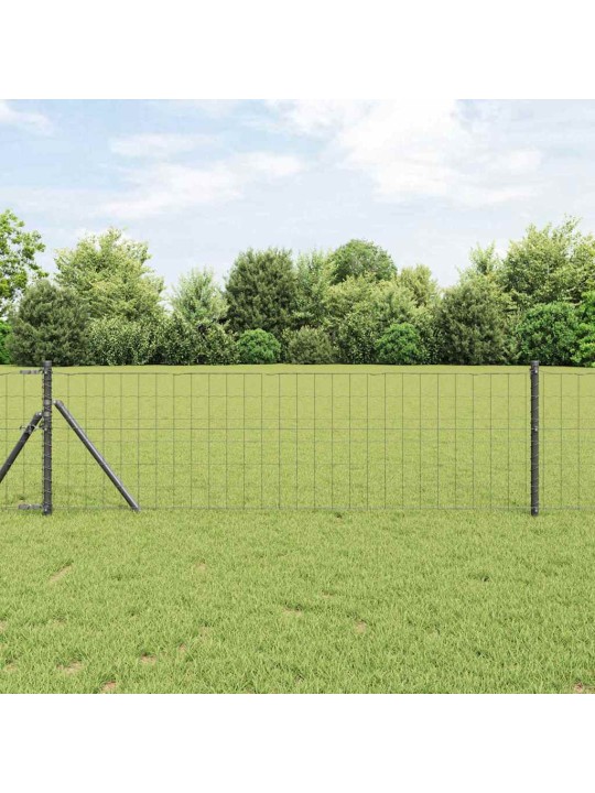 Žogs ar stabiem. pelēka 0.4 x 10 m tērauds