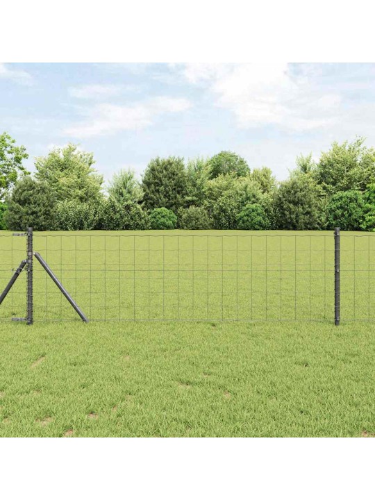 Žogs ar stabiem. pelēka 0.4 x 10 m tērauds
