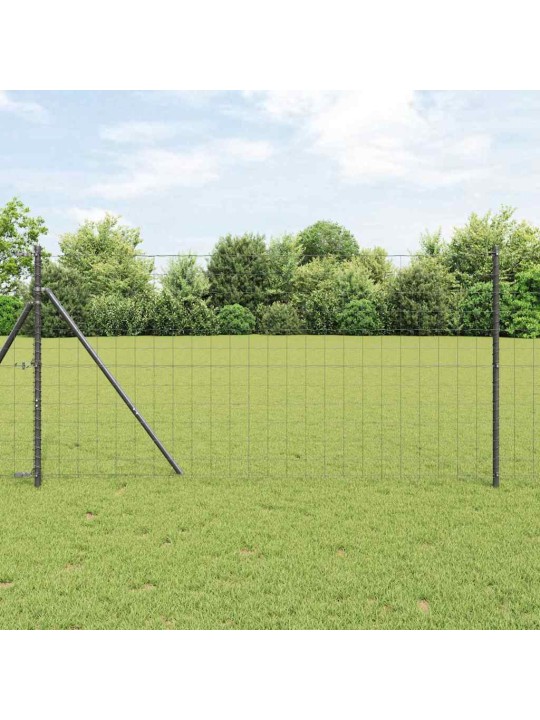 Žogs ar stabiem. pelēka 1 x 10 m tērauds