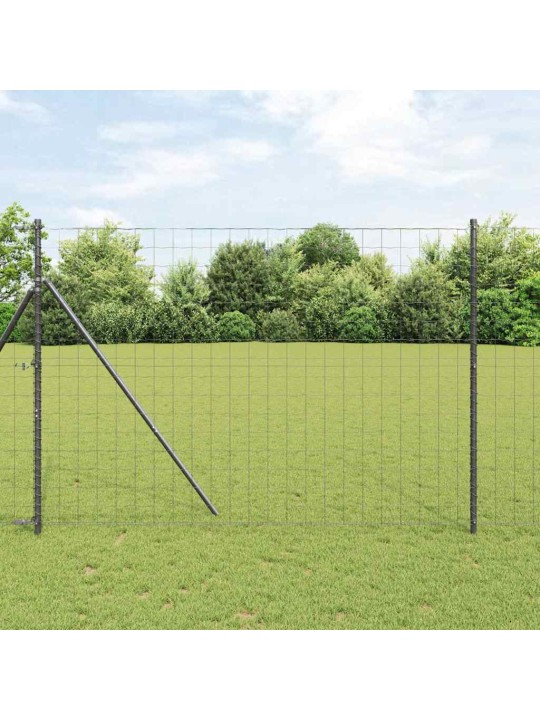 Žogs ar stabiem. pelēka 1.6 x 10 m tērauds
