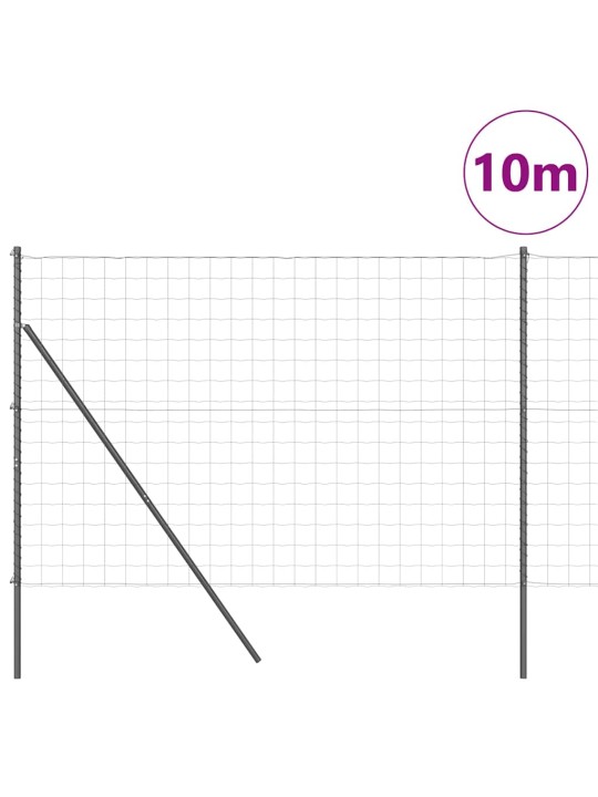Žogs ar stabiem. pelēka 1.6 x 10 m tērauds