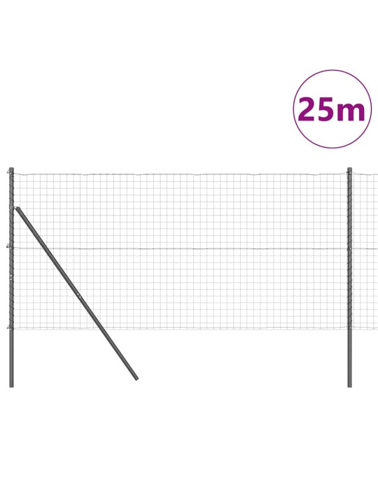 Žogs ar stabiem. pelēka 1.2 x 25 m tērauds